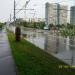 Пешеходный переход в городе Москва
