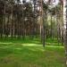 Парк «Сосенки» в городе Москва
