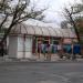 Public transport stop in Alushta city