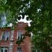 Старое здание Дедовской городской больницы (ru) в місті Дєдовськ