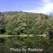 Boyana Lake