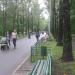 Берёзовая аллея в городе Москва