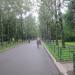 Берёзовая аллея в городе Москва