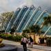 Gardens By The Bay in Republic of Singapore city