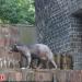 Bears castle (en) in Stadt Leipzig