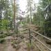 Беседка-грибок (ru) in Imatra city