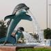 نافورة الدلافين (ar) in Abu Dhabi city