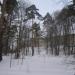 Башня «Давидов дом» в городе Истра