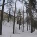 Гефсиманская башня в городе Истра