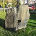 Руническая надпись на камне. (ru) in Södertälje city