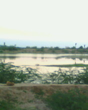 LIWALI TALAB MANDIR ;Location: Liwali, Bamanwas, Sawai Madhopur, Rajasthan