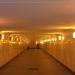 Подземный пешеходный переход «Стадион Юных Пионеров ТТК»