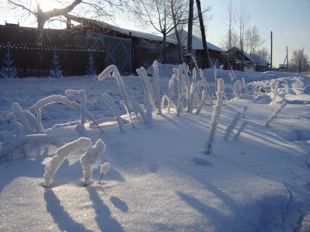Зима