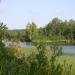 Michurinskoye Lake