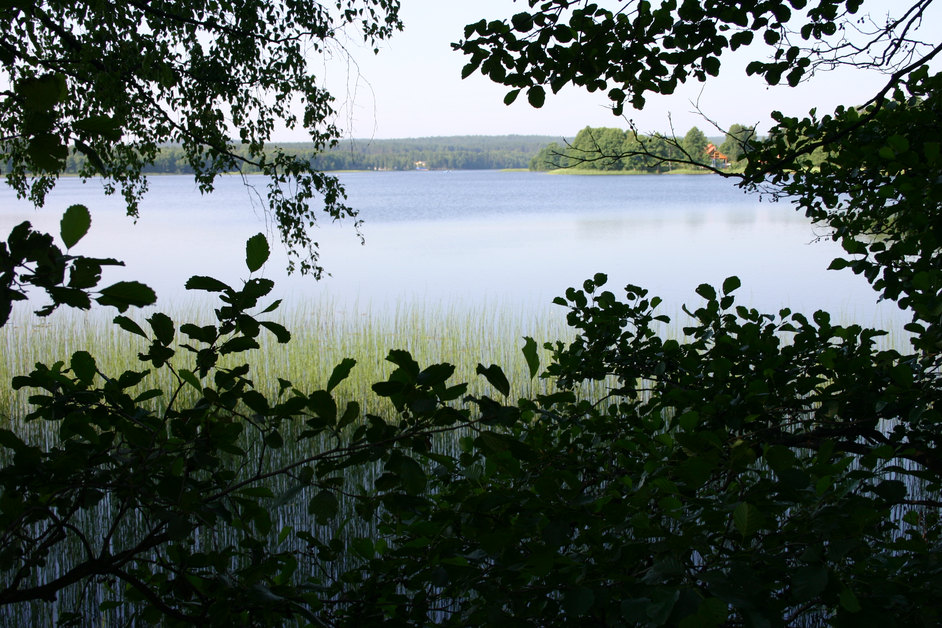 Борисовское озеро Ленинградская область