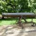 Russian Cannon