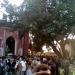 Dargah (Shrine) Hazrat Abbas (A.S.) in Mahmudabad city