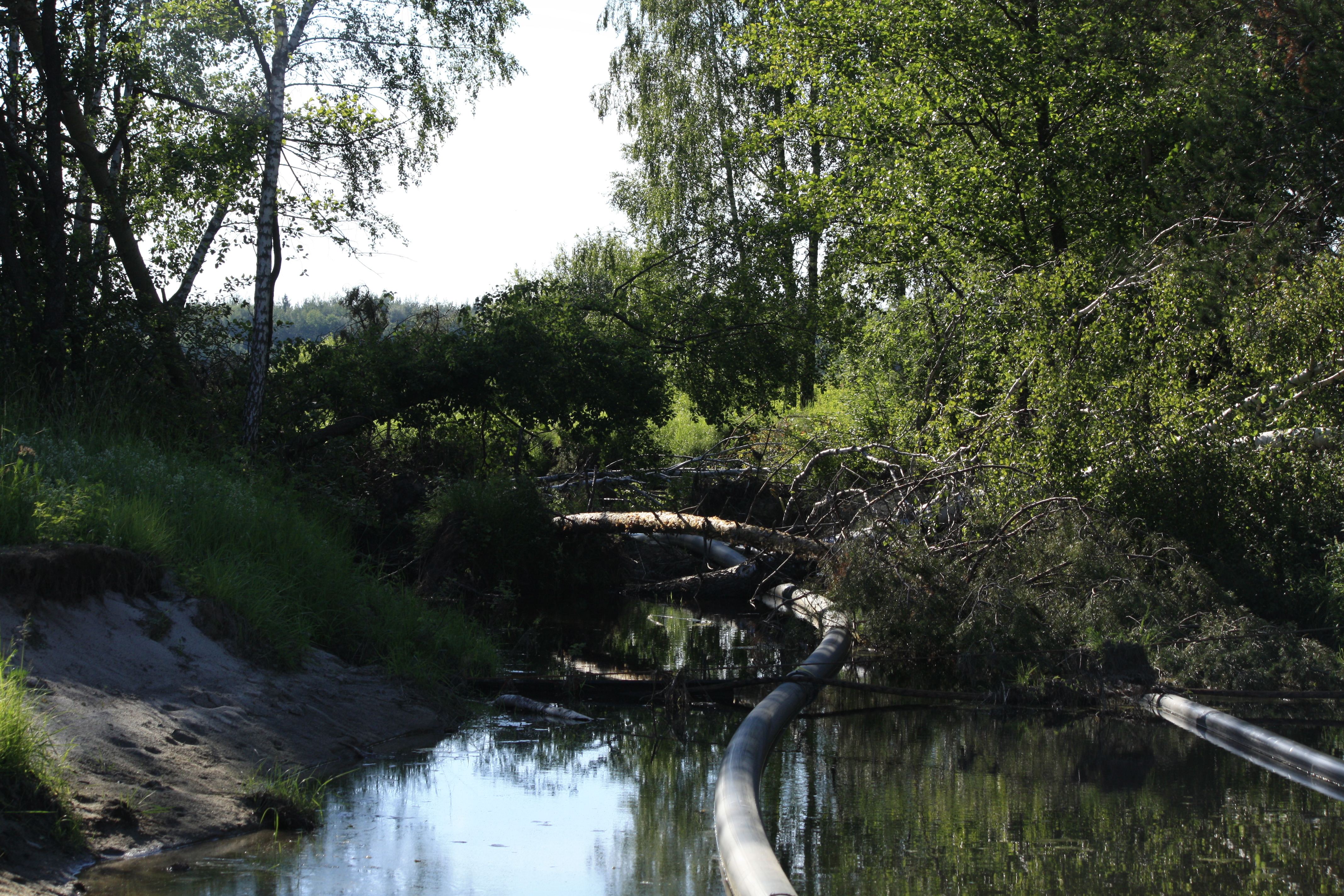 Река Кельцевская