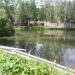 Пруд «Корни» в городе Сергиев Посад