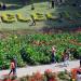 Tulisan Selecta (en) di kota Kota Batu