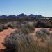 Kata Tjuta / Mount Olga