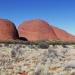 Kata Tjuta ( Mount Olga )