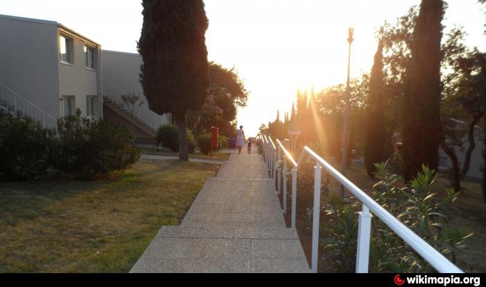 Apartments Bellevue Plava Laguna 4 Hotel