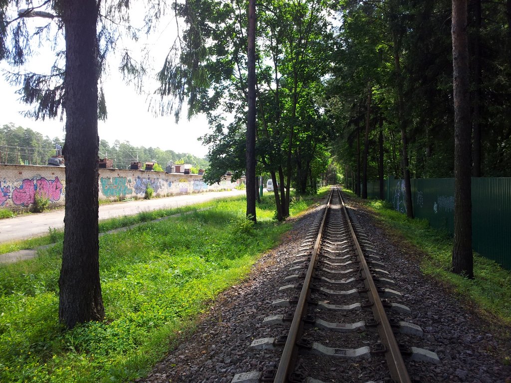 Московская детская железная дорога (Малая Московская железная дорога ...