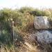 Nuraghe Corte Carroccia