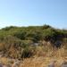 Nuraghe Corte Carroccia