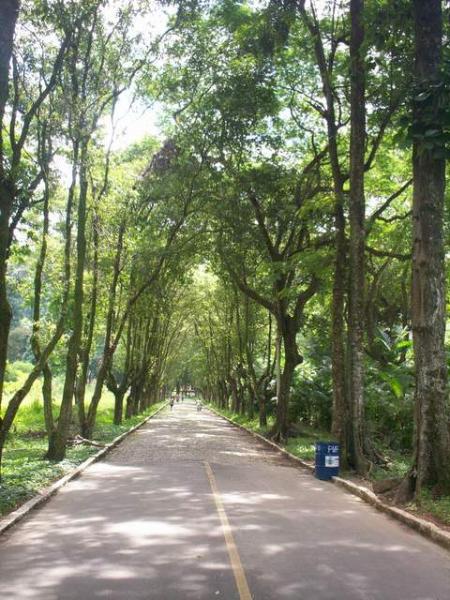 Paracambi fotos da cidade, fotos da cidade Paracambi cidade