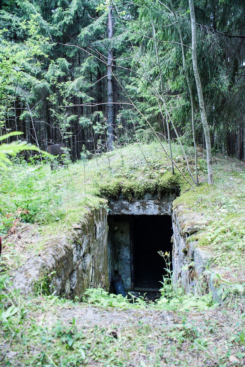 Подземное укрытие в лесу