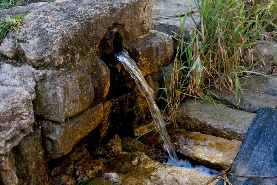 Родник с пресной водой
