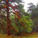 Ялтинский горно-лесной природный заповедник