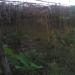 Cucurbits Veg Production Area