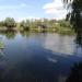 Озеро Карасёвое в городе Энгельс