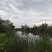 Водоём в городе Энгельс