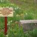 Литературно-художественный музей в городе Старый Крым