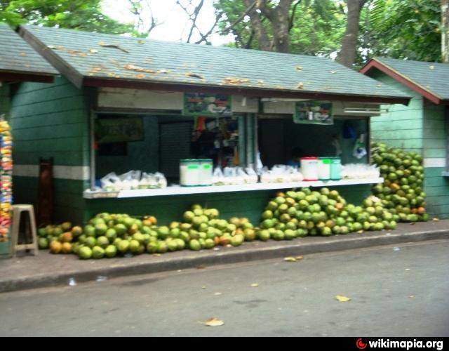 Coconut Store - Quezon City