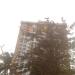 SFS Cyber Gold in Thiruvananthapuram city