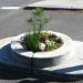 World's Smallest Park (Mill Ends Park) in Portland, Oregon city