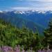 Hurricane Ridge