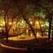 Парк влюблённых в городе Ереван