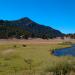 Buffalo Creek, Colorado