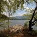 Lake Bohinj