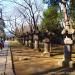 Tosho-gu Shrine in Tokyo city