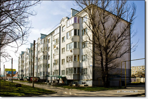 Туи и ели украсили новый сквер