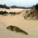 Oregon Dunes National Recreation Area (South)