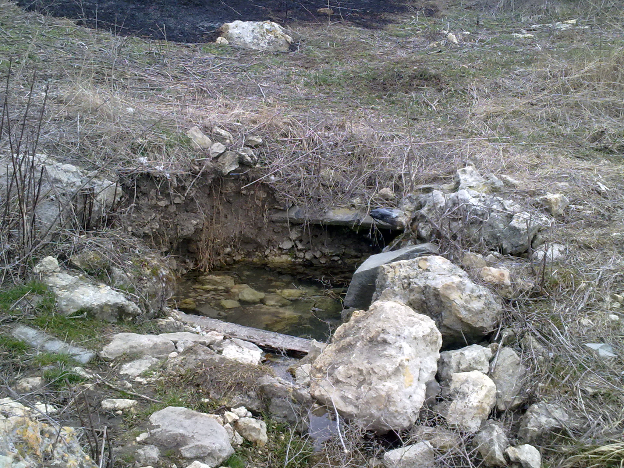 Родник