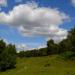 Barlaston Downs: Downs Banks